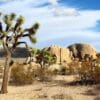 Mojave Wüste