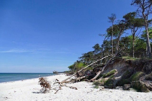 Weststrand Darß Weststrand Darß