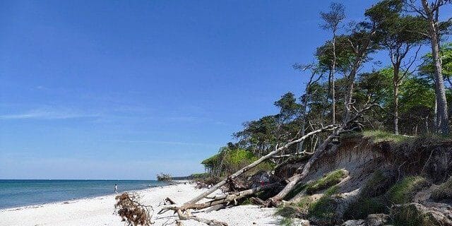 Weststrand Darß Weststrand Darß