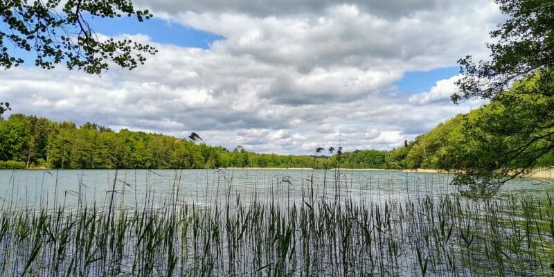 Was ist der beliebteste Badesee in Brandenburg? Was ist der beliebteste Badesee in Brandenburg?