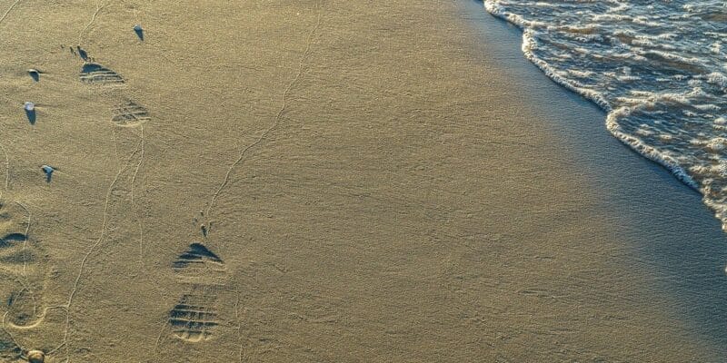 Hundestrand Binz auf Rügen