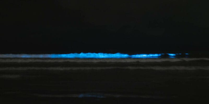 Das glitzernde Meer auf den schönen Malediven sehen