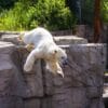 Erlebnis Zoo Hannover