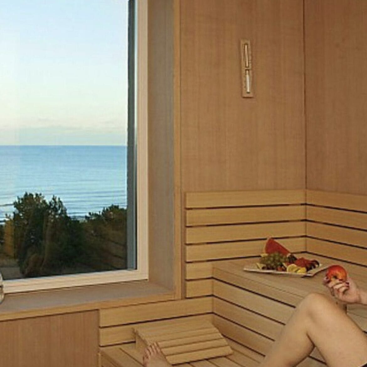 Sauna mit Ausblick