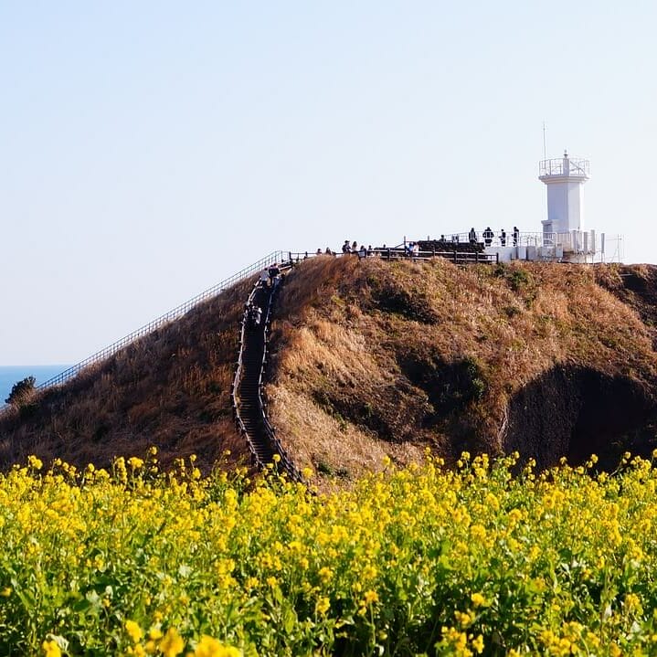 Insel Jeju