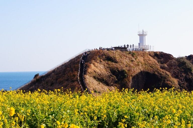 Insel Jeju Insel Jeju