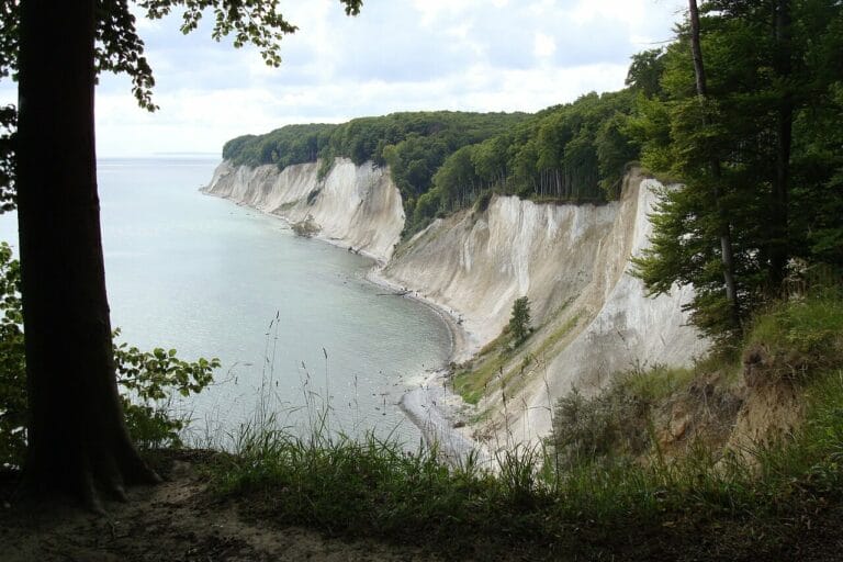 Ein malerischer Blick auf den Königsstuhl auf Rügen offenbart dramatische weiße Kreidefelsen entlang der Küste, gesäumt von üppigen grünen Wäldern. Diese majestätischen Klippen fallen unter einem teilweise bewölkten Himmel steil ins ruhige Meer ab, während Gras und Bäume den Vordergrund wunderschön einrahmen.