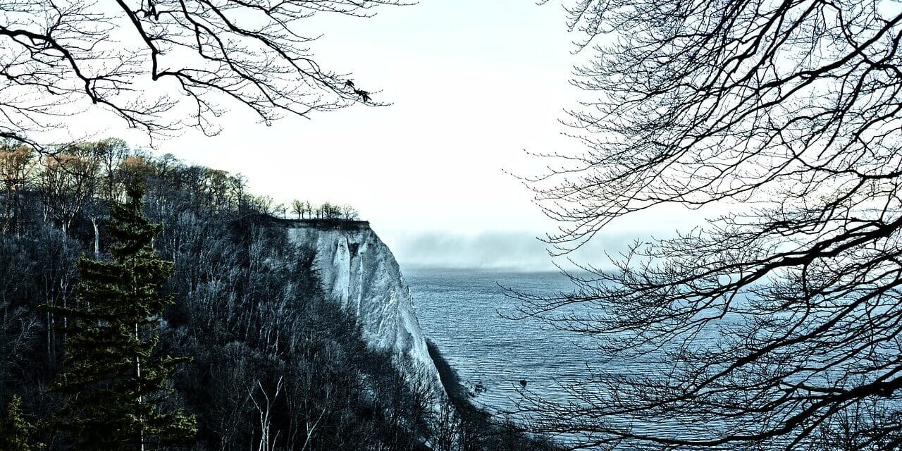 Eine zerklüftete Klippe im Nationalpark Jasmund, bedeckt mit kahlen Bäumen, überblickt ein weites, ruhiges Meer unter einem blassen, bewölkten Himmel. Die Szene wird wunderschön von Ästen eingerahmt, die eine ruhige und natürliche Landschaft schaffen.