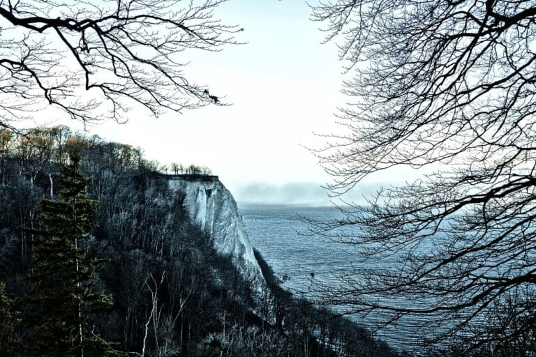 Eine zerklüftete Klippe im Nationalpark Jasmund, bedeckt mit kahlen Bäumen, überblickt ein weites, ruhiges Meer unter einem blassen, bewölkten Himmel. Die Szene wird wunderschön von Ästen eingerahmt, die eine ruhige und natürliche Landschaft schaffen.