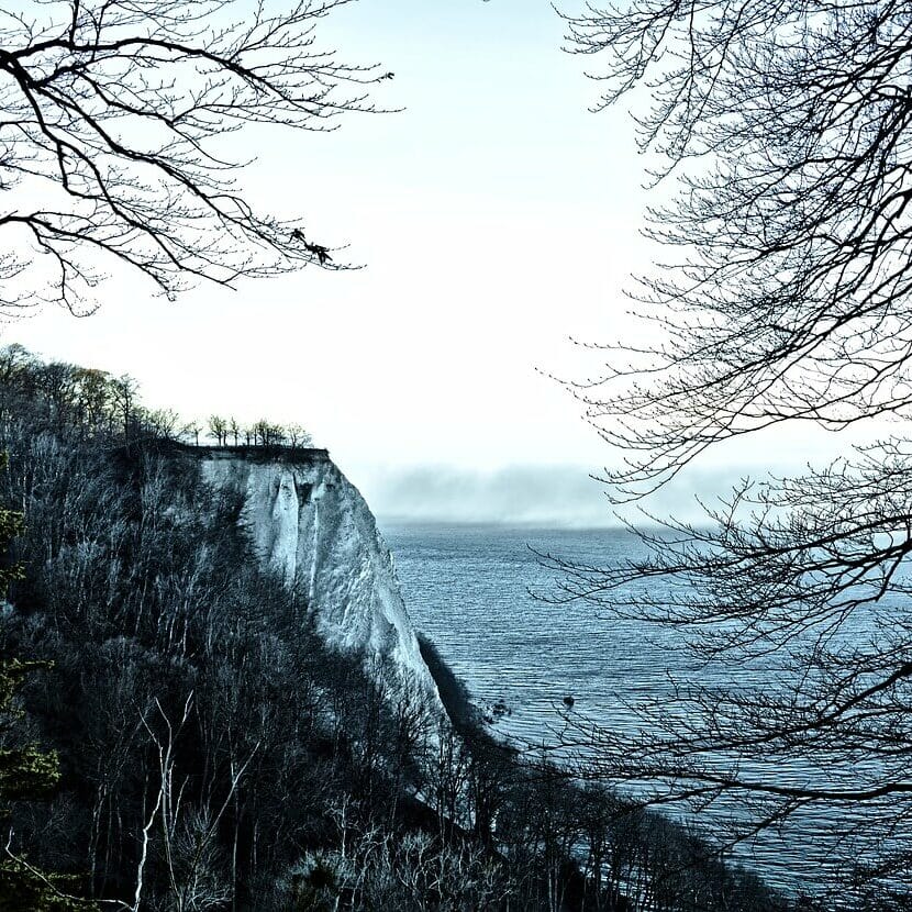 Eine zerklüftete Klippe im Nationalpark Jasmund, bedeckt mit kahlen Bäumen, überblickt ein weites, ruhiges Meer unter einem blassen, bewölkten Himmel. Die Szene wird wunderschön von Ästen eingerahmt, die eine ruhige und natürliche Landschaft schaffen.