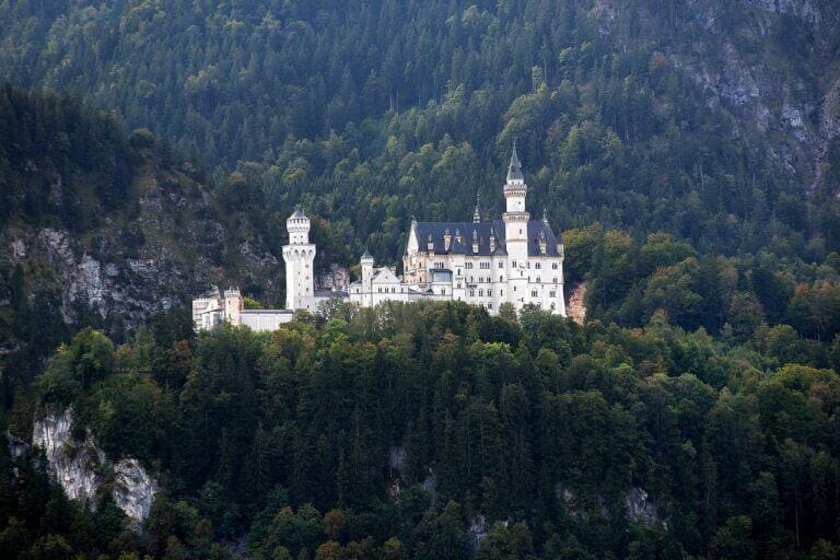 Das malerische Schloss Neuschwanstein liegt auf einem üppig bewaldeten Hügel und besticht durch zahlreiche Türme und Türmchen vor einer Bergkulisse. Umgeben von dichten grünen Bäumen unterstreicht der klare Himmel diese ruhige, märchenhafte Kulisse, die typisch für Burgen und Schlösser in Deutschland ist.