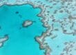 Great Barrier Reef: Luftaufnahme des weltweit größten Korallenriffs mit türkisfarbenem Wasser und vielfältigen Korallenformationen.
