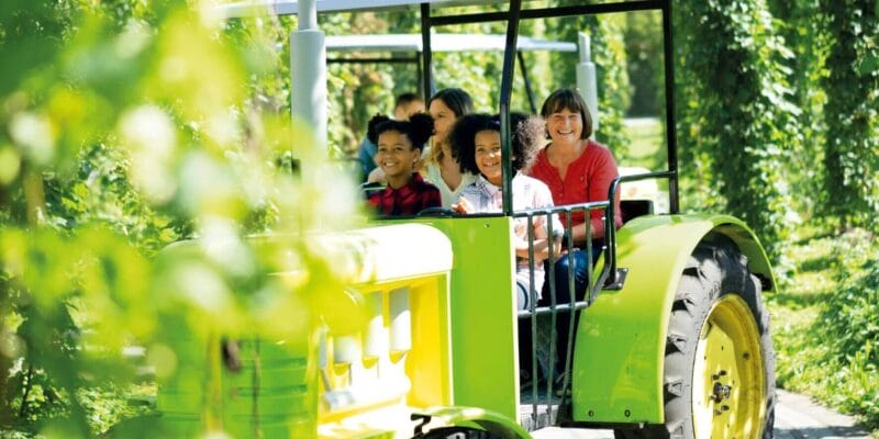 Grüne Oase Grüne Oase